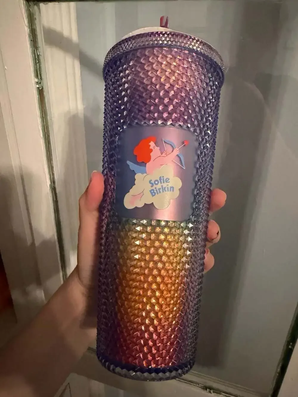 Starbucks Sofie Birkin 2024 Pride Collection Studded Venti 24oz Cold Cup Tumbler